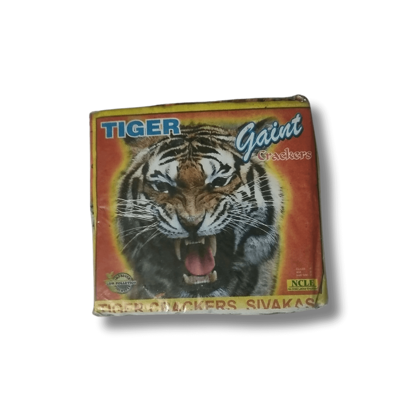 28 giant chorsa front