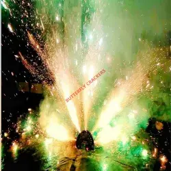 Dhandiya Peacock 2